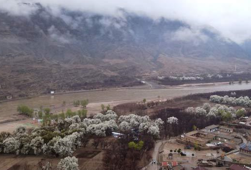 國社&ldquo;寧&rdquo;聚力|鄉村振興只有進行時 沒有完成時