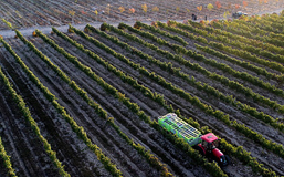 國社&ldquo;寧&rdquo;聚力|揚帆起航，筑就紫色夢想