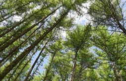 國社&ldquo;寧&rdquo;聚力|先行區建設邁出堅實步伐